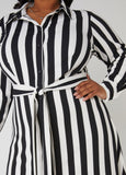 Striped A Line Shirtdress