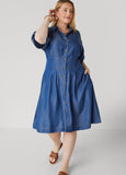Chambray A Line Shirtdress