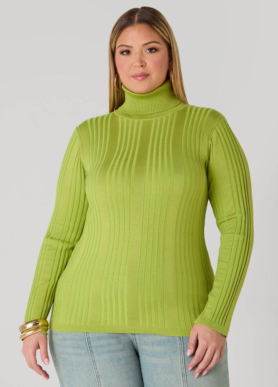 Plus Size Ribbed Knit Turtleneck Sweater