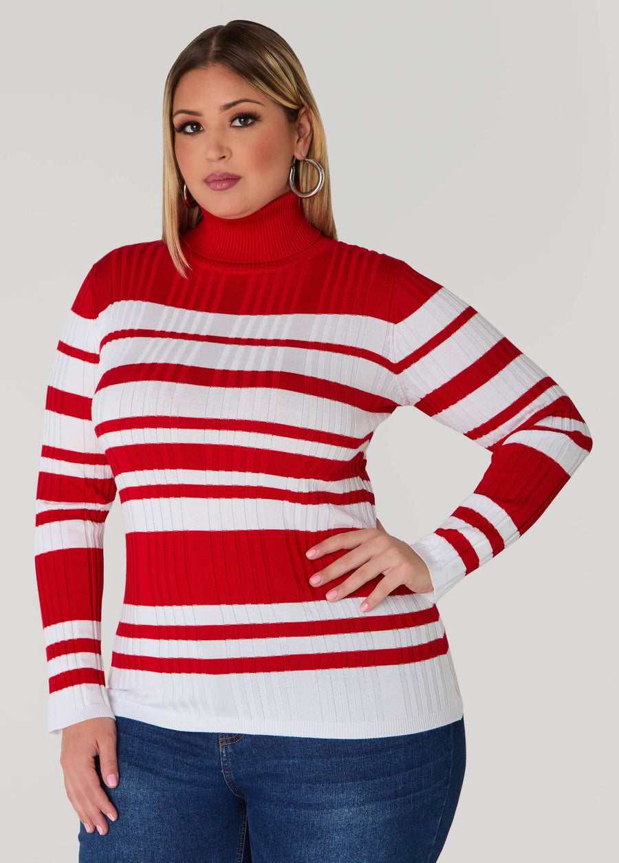 Plus Size Turtleneck Striped Sweater