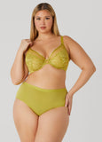 Plus Size Lace And Mesh Underwire Bra