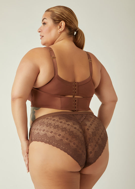 Lace Paneled Hipster Briefs